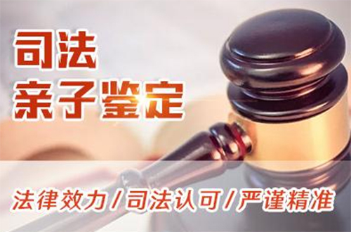 博尔塔拉司法DNA鉴定怎么收费,博尔塔拉正规的司法DNA亲子鉴定中心
