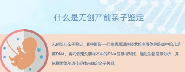 怀孕期间博尔塔拉需要如何做产前亲子鉴定,在博尔塔拉刚怀孕办理亲子鉴定准确率高吗