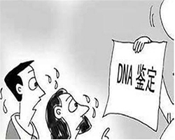 博尔塔拉匿名亲子鉴定需要怎么办理（专业咨询），博尔塔拉隐个人DNA鉴定的流程有哪些规定