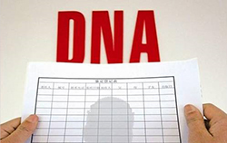博尔塔拉什么地方能办理DNA鉴定，博尔塔拉正规DNA鉴定中心怎么做